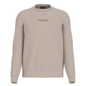 Felpa girocollo in cotone