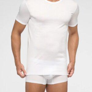 VPRT00320-Maglia girocollo uomo in filo di scozia